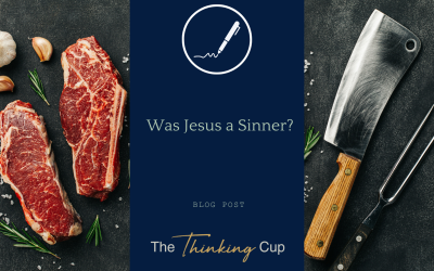 Was Jesus a Sinner?