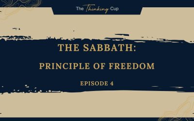 Ep. 4 – Principle of Freedom